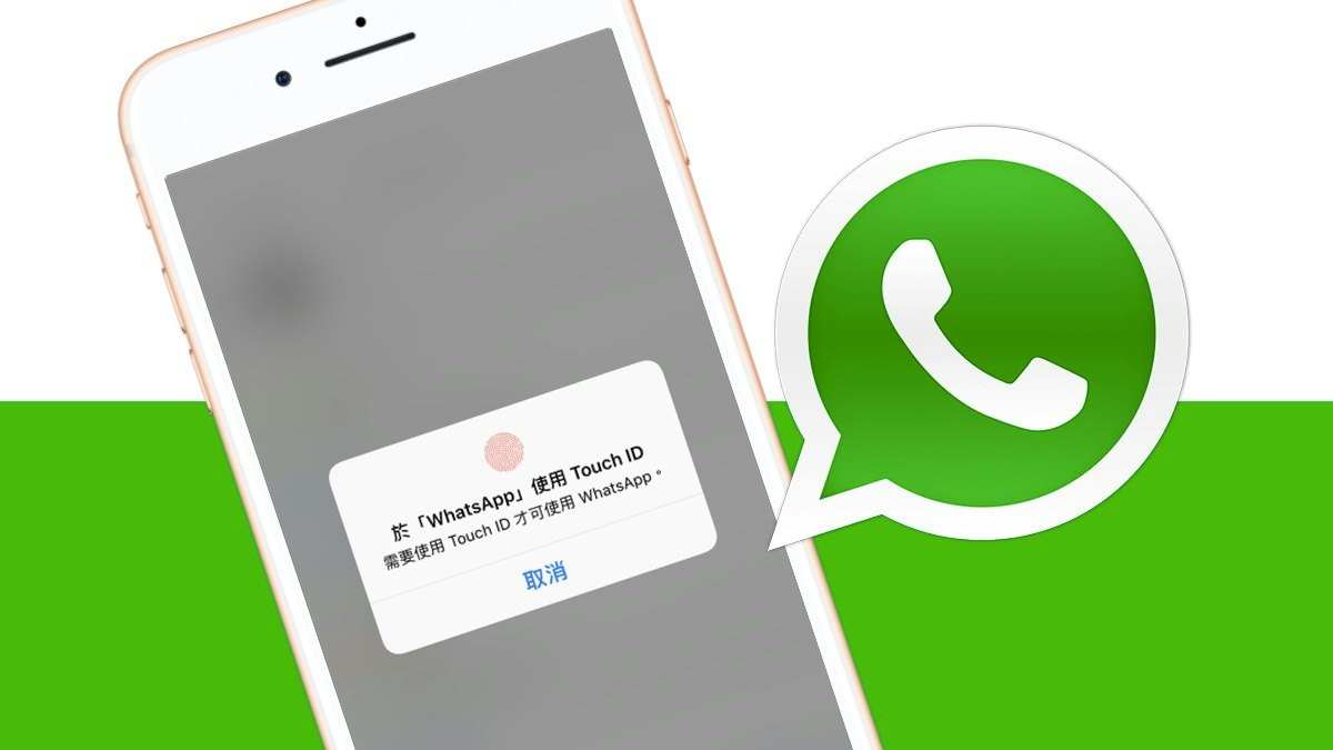 WhatsApp可以設定id嗎？