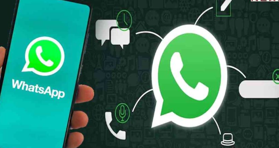 WhatsApp為什麼看不到別人頭像？