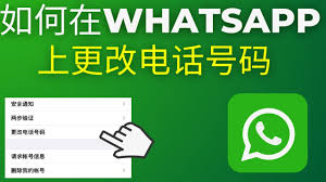 WhatsApp 如何轉電話號碼？