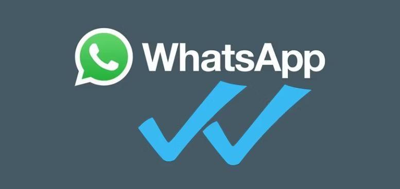WhatsApp雙剔是什麼意思？